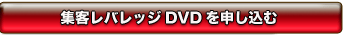 �W�q���o���b�WDVD��\������