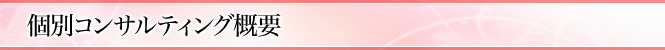 個別コンサルティング概要