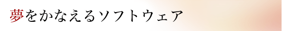 >�T�u���~�i���\�t�g