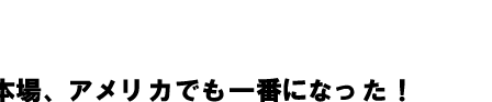 �l�b�g�̖{��A�����J�ł���ԂɂȂ����I�C���^�[�l�b�g�Ŕ���グ�{���o�C�u��